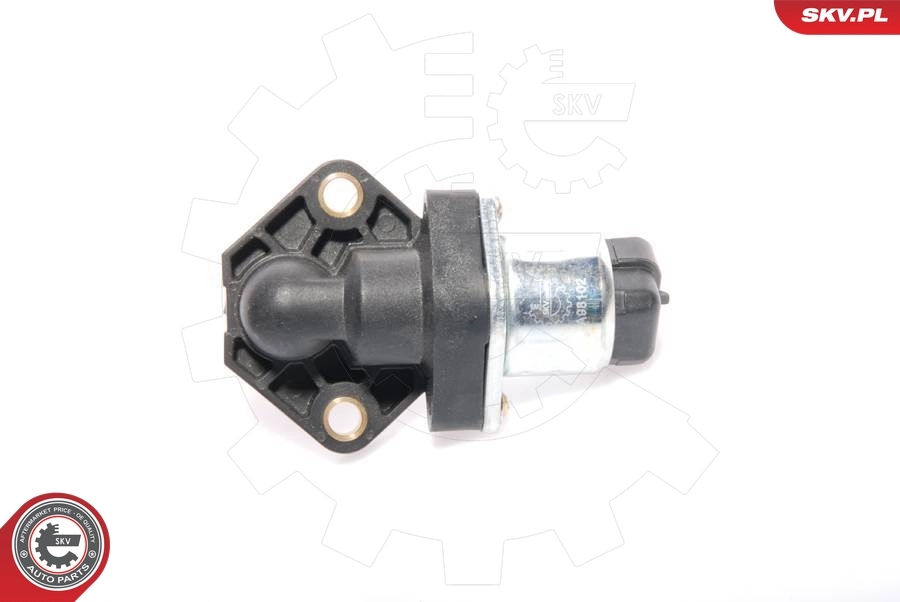 Idle Control Valve, air supply